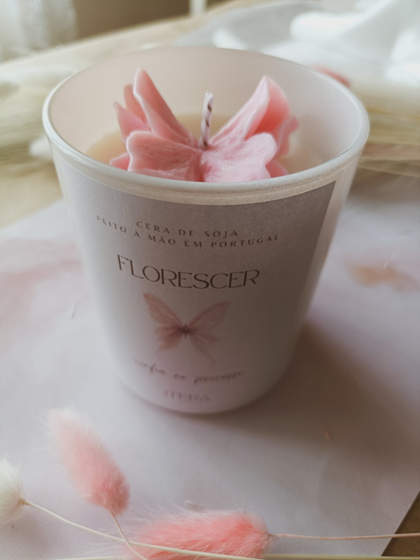 Vela Florescer