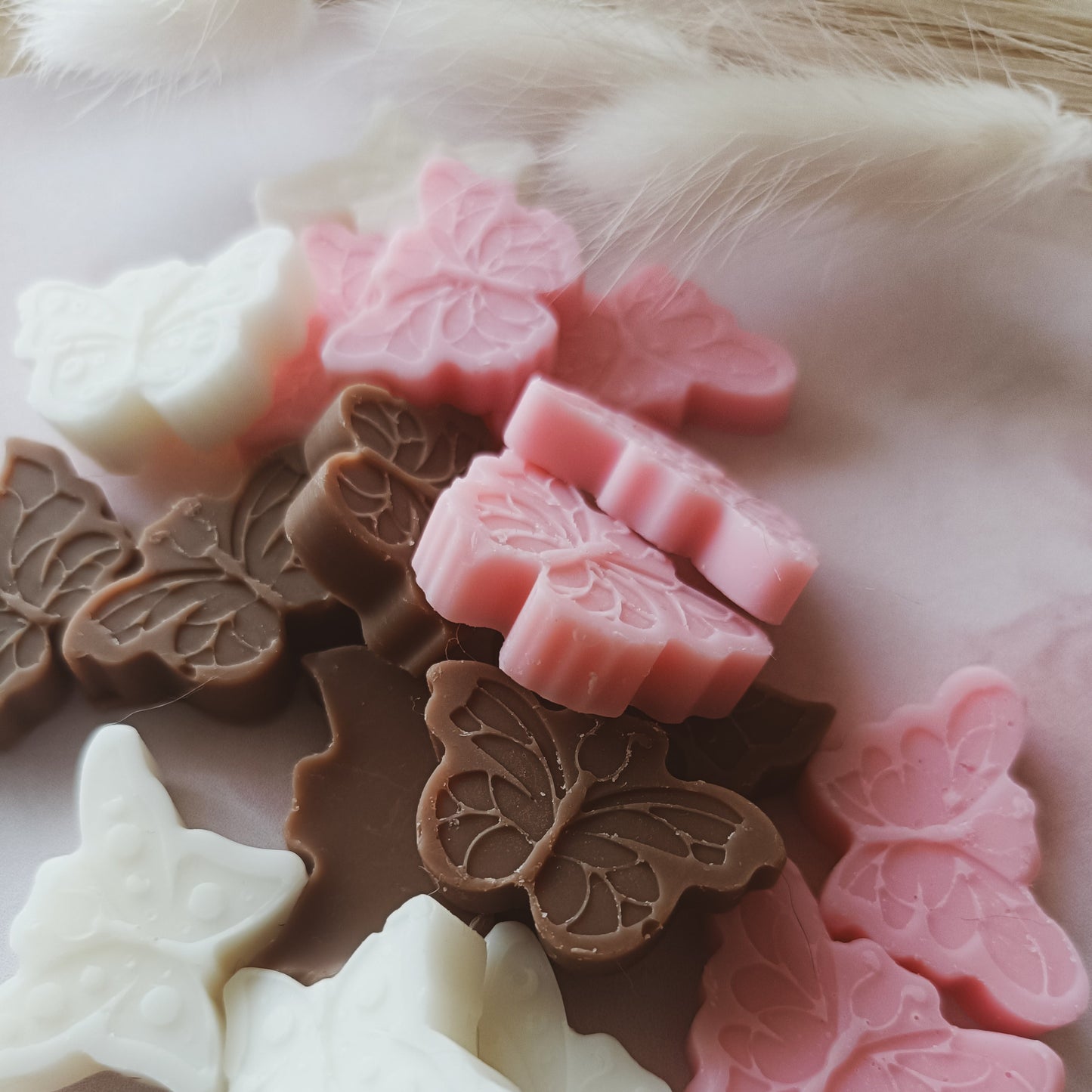 Wax melts Raíz
