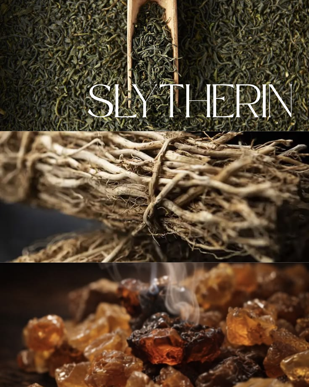 Vela Slytherin