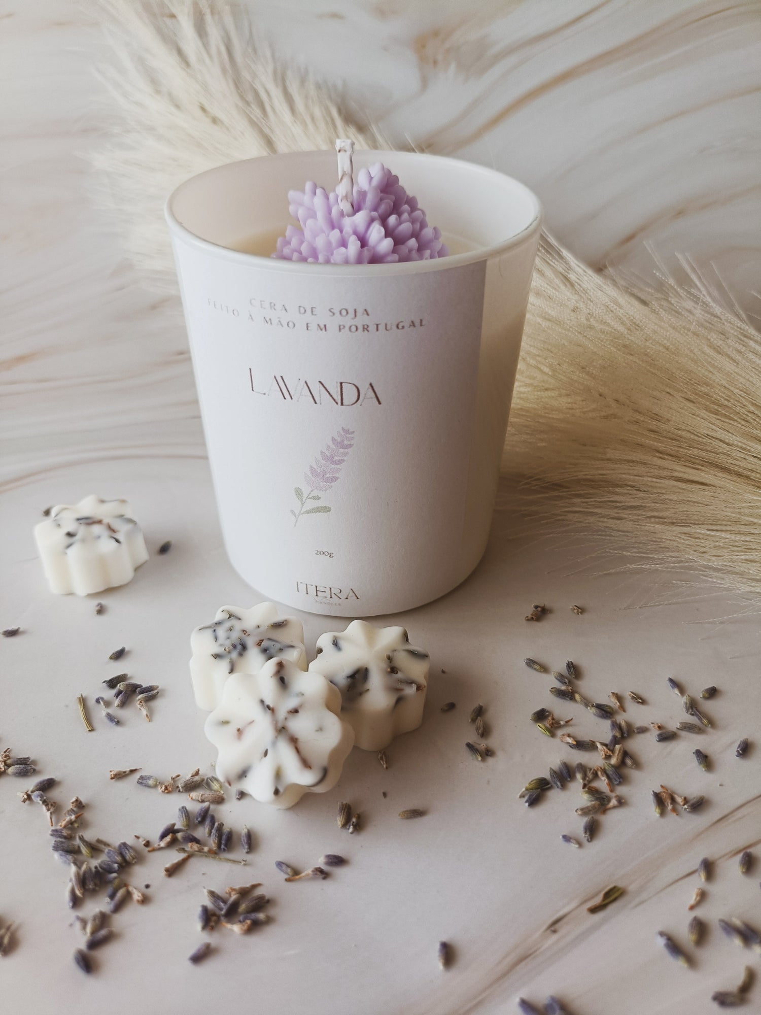 Lavanda