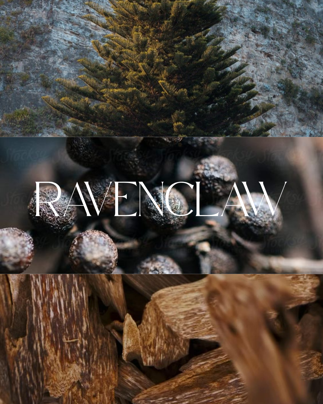 Vela Ravenclaw