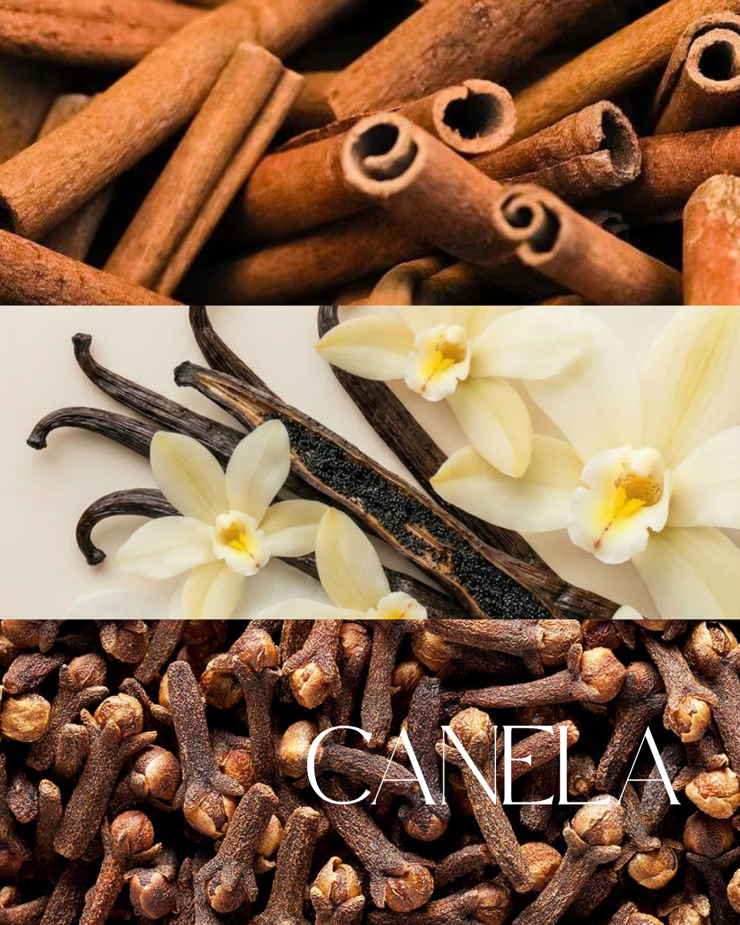 Wax melts Folhas Caídas