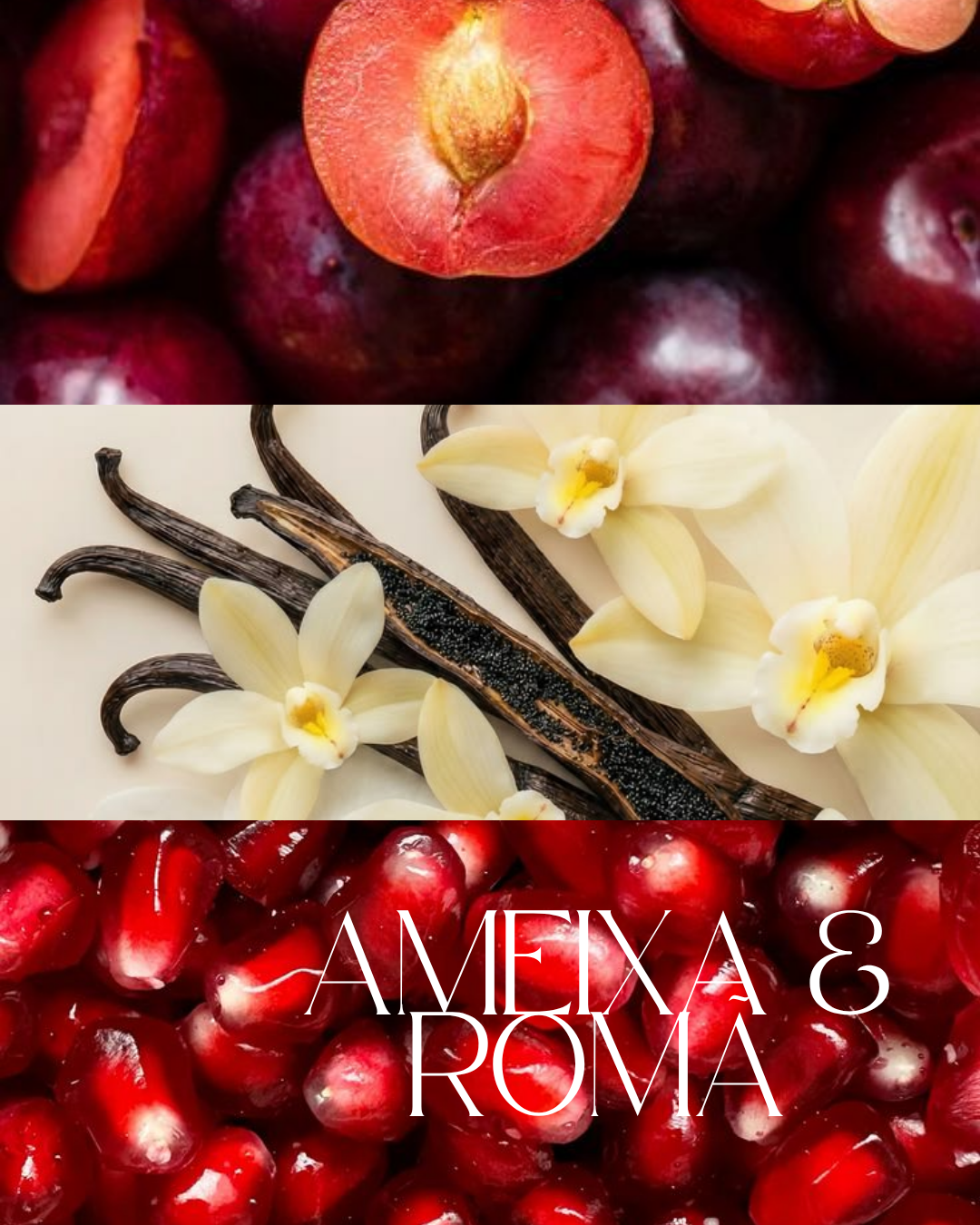 Wax Melts Escondidos no Bosque